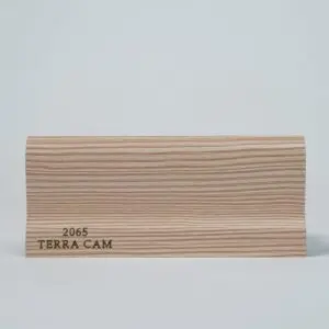 2065-TERRA-CAM