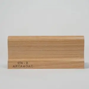 654-R-AKCAAGAC