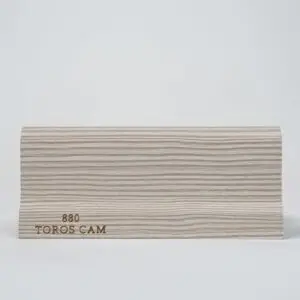 880-TOROSCAM