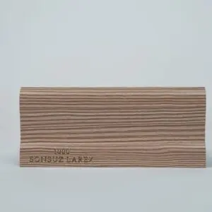 1000-SONSUZ-LAREX